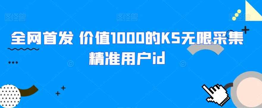 全网首发 价值1000的KS无限采集精准用户id,第1张