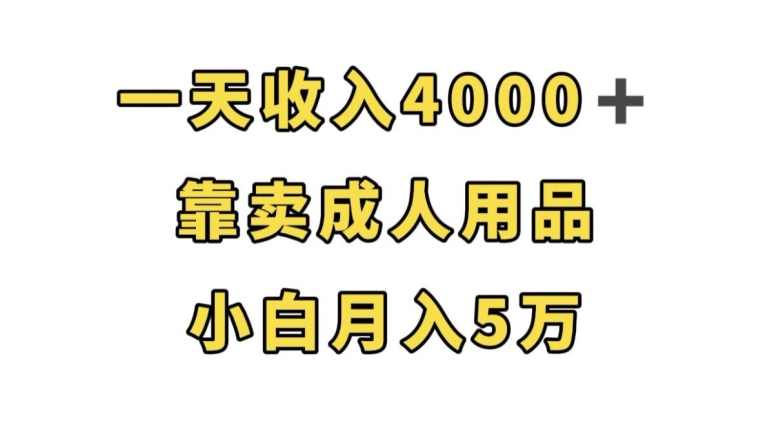 一天收入4000+，靠卖成人用品，小白轻松月入5万【揭秘】,课程,第1张