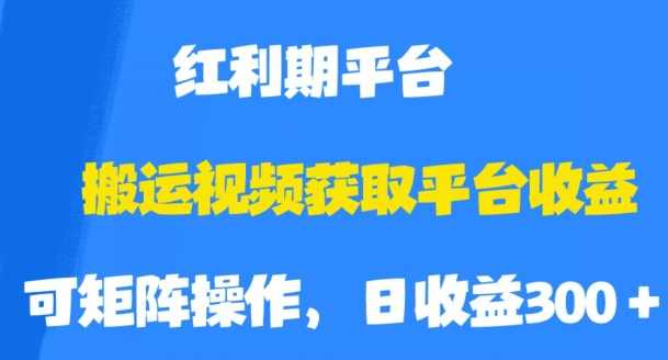 搬运视频获取平台收益，平台红利期，附保姆级教程【揭秘】,课程,第1张