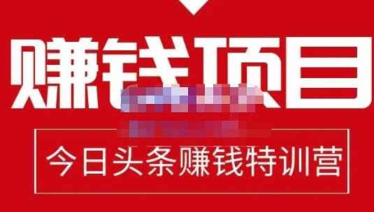懒人领域·今日头条项目玩法，头条中视频项目，单号收益在50—500可批量,课程,兼职,第1张