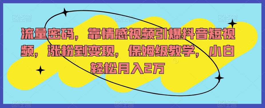 流量密码，靠情感视频引爆抖音短视频，涨粉到变现，保姆级教学，小白轻松月入2万【揭秘】,课程,学习,收藏,第1张