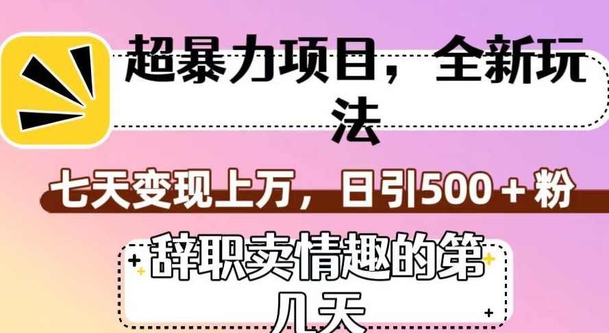 超暴利项目，全新玩法（辞职卖情趣的第几天），七天变现上万，日引500+粉【揭秘】,美女,视频制作,第1张