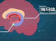 《探索人体奥秘》视频全集（共10讲）,课程,第1张