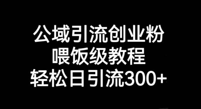 公域引流创业粉,喂饭级教程,轻松日引流300+【揭秘】,课程,第1张 公域引流创业粉,喂饭级教程,轻松日引流300+【揭秘】,课程,第1张