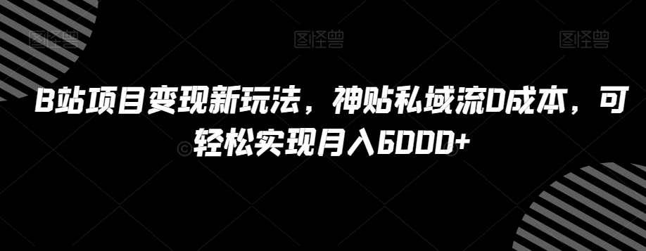 B站项目变现新玩法，神贴私域流0成本，可轻松实现月入6000+【揭秘】,论坛,第1张