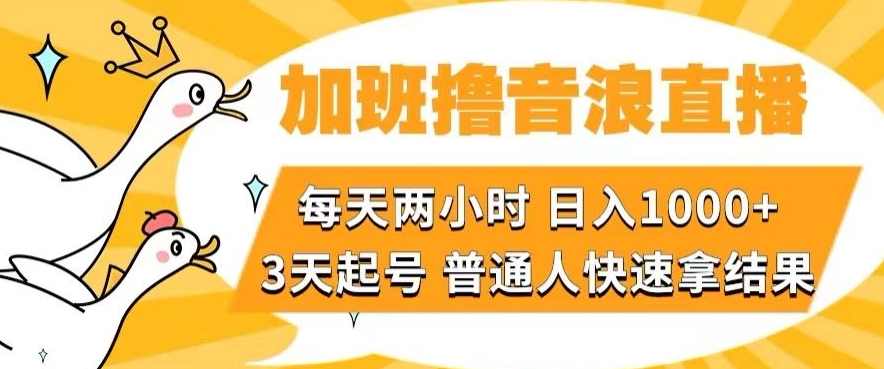 加班撸音浪直播，每天两小时，日入1000+，直播话术才3句，3天起号，普通人快速拿结果【揭秘】,课程,直播,第1张