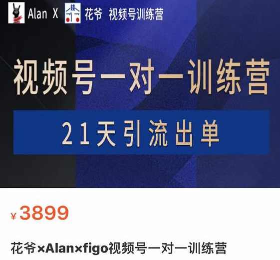 花爷×Alan×figo视频号一对一训练营,21天引流出单3899,课程,直播,目标,模板,第1张