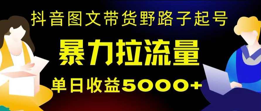 抖音图文带货暴力起号，单日收益5000+，野路子玩法，简单易上手，一部手机即可【揭秘】,第1张