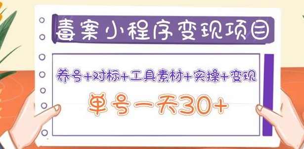 森罗万项毒案小程序变现项目：养号+对标+工具素材+实操+变现，单号一天30+,课程,小程序,第1张