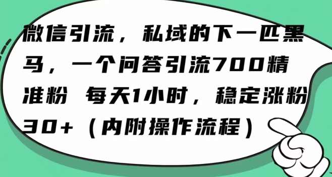 怎么搞精准创业粉?微信新赛道,每天一小时,利用Ai一个问答日引100精准粉,微信,支持,第1张 怎么搞精准创业粉?微信新赛道,每天一小时,利用Ai一个问答日引100精准粉,微信,支持,第1张