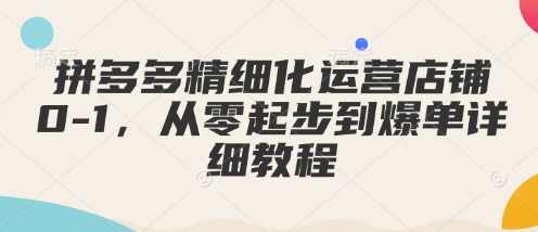 拼多多精细化运营店铺0-1，从零起步到爆单详细教程