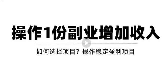 新手如何通过操作副业增加收入，从项目选择到玩法分享！【视频教程】
