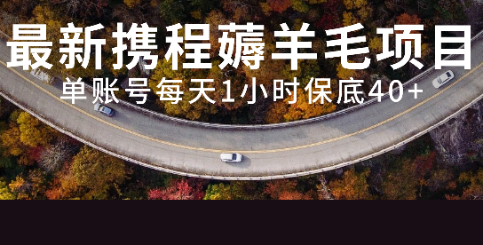 最新携程薅羊毛项目,单账号每天1小时保底收益40+,可矩阵操作