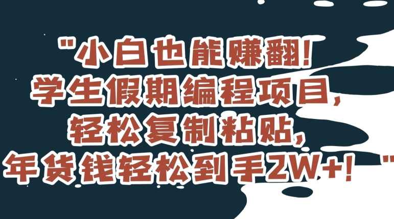 小白也能赚翻!学生假期编程项目,轻松复制粘贴,年货钱轻松到手2W+【揭秘】,学习,第1张 小白也能赚翻!学生假期编程项目,轻松复制粘贴,年货钱轻松到手2W+【揭秘】,学习,第1张