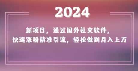 2024新项目，通过国外社交软件，快速涨粉精准引流，轻松做到月入上万【揭秘】,第1张