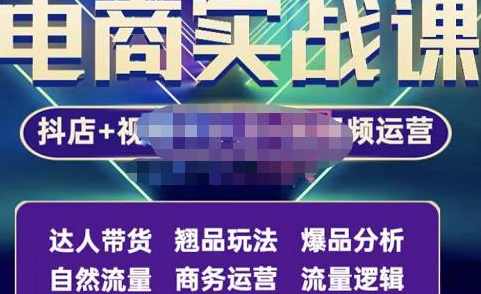 阿枫·抖店无货源+视频号小店+短视频实操课：达人带货+翘品玩法+爆品分析等,课程,理解,直播,定位,模板,第1张