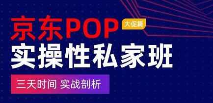 京东POP实操性私家班——大促篇，​三天时间，实战剖析-​原价4980