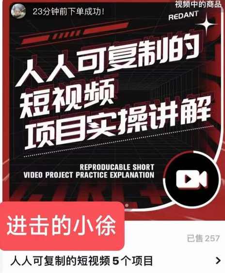 进击的小徐·人人可复制的短视频5个项目，实操讲解年销售额八位数级别项目,课程,第1张