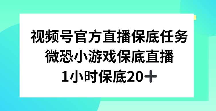 视频号直播任务，微恐小游戏，1小时20+【揭秘】