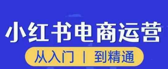 顽石小红书电商高阶运营课程，从入门到精通，玩法流程持续更新