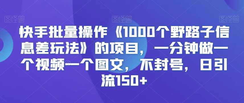 快手批量操作《1000个野路子信息差玩法》的项目，一分钟做一个视频一个图文，不封号，日引流150+【揭秘】,课程,学习,第1张