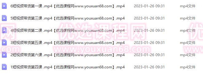 胖哥·短视频带货电商课，零基础可以学会电商，新人也一台手机也能做电商,电商,第2张