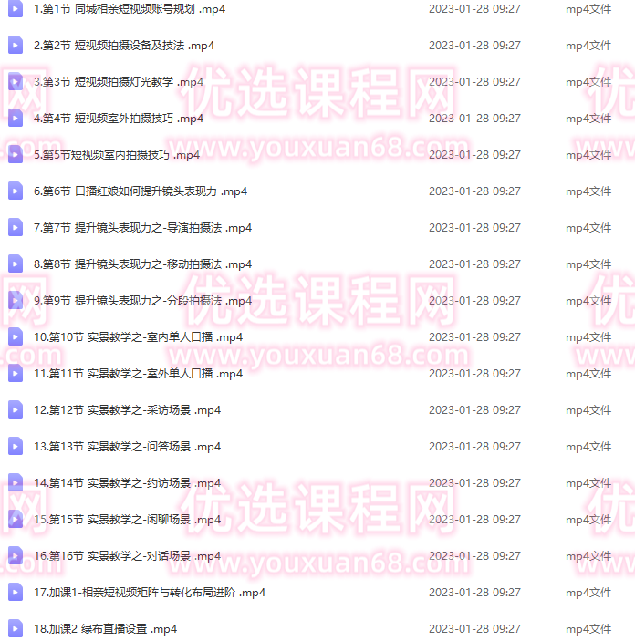 心动学堂·同城相亲短视频矩阵起号-引流-拍摄进阶，带你做好同城相亲，引流全流程教学,课程,第2张