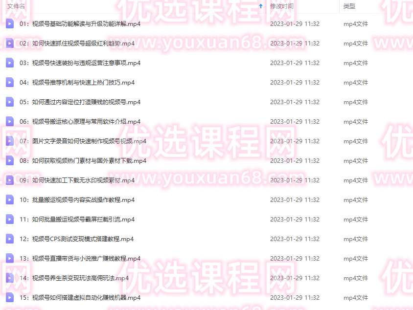 视频号批量搬运实战操作运营赚钱教程，傻瓜式批量制作高质量内容【附视频教程+PPT】,直播,团队,第2张