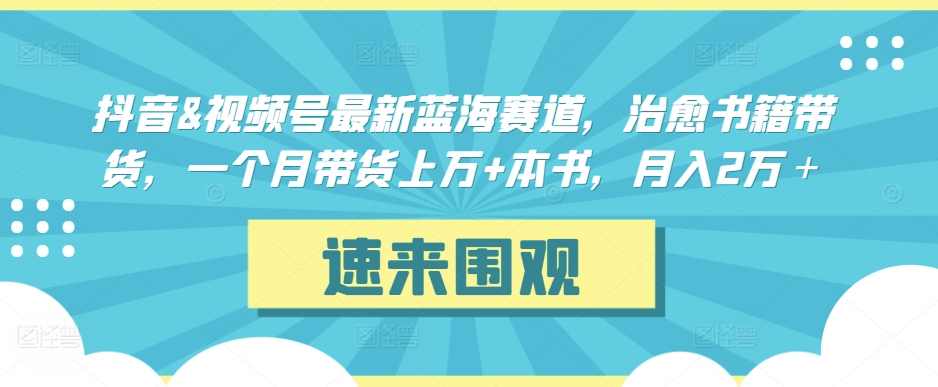 抖音&amp;视频号最新蓝海赛道，治愈书籍带货，一个月带货上万+本书，月入2万＋【揭秘】,课程,学习,第1张
