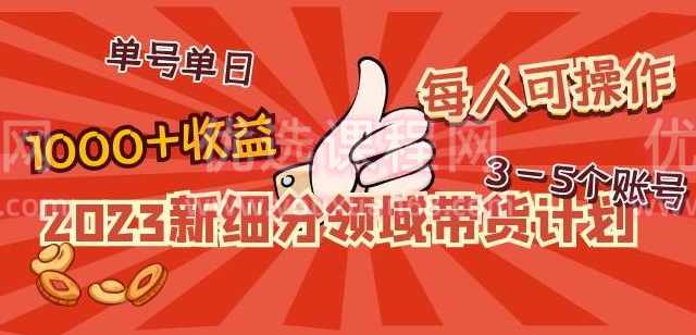2023新细分领域带货计划：单号单日1000+收益不难，每人可操作3-5个账号