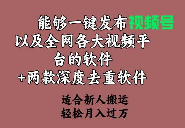 能够一键发布视频号以及全网各大视频平台的软件+两款深度去重软件 适合...