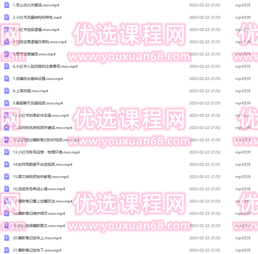 小红书电商高阶系统教程，新手从入门到精通系统课,学习,电商,电子商务,第2张