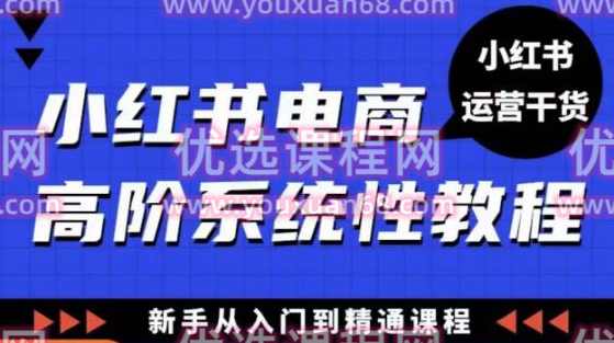 小红书电商高阶系统教程，新手从入门到精通系统课,学习,电商,电子商务,第1张