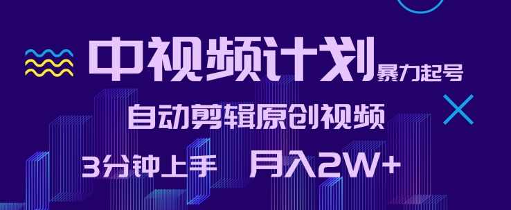 中视频计划暴力起号，自动剪辑原创视频，3分钟上手，月入2W+【揭秘】,第1张