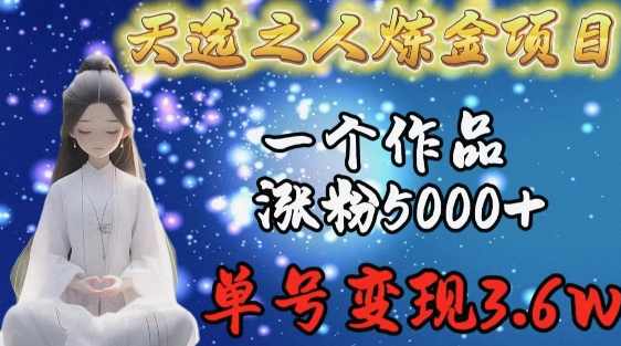 天选之人炼金项目，一个作品涨粉5000+，单号变现3.6w【揭秘】,课程,第1张