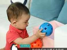 10-16个月宝宝早教装备课教学视频,课程,教育,第1张 10-16个月宝宝早教装备课教学视频,课程,教育,第1张