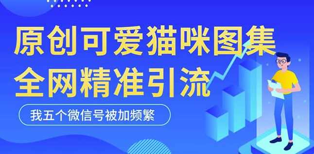 黑科技纯原创可爱猫咪图片，全网精准引流，实操5个VX号被加频繁,微信,第1张