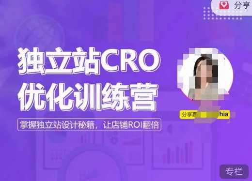 独立站CRO优化训练营，掌握独立站设计秘籍，打造高转化的独立站，让店铺ROI翻倍,课程,第1张