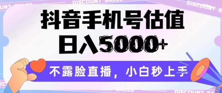 抖音手机号估值，日入5000+，不露脸直播，小白秒上手【揭秘】,课程,直播,第1张