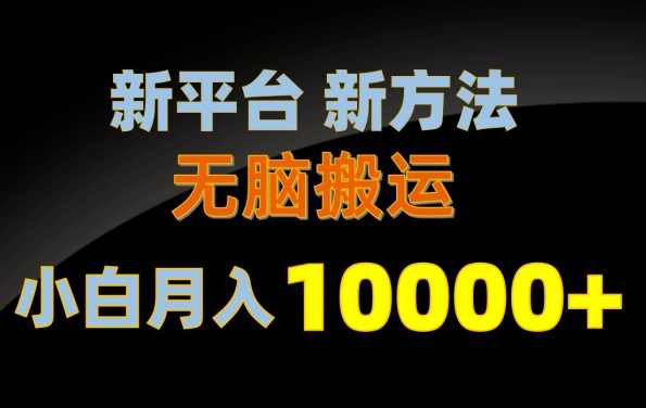 新平台新方法，无脑搬运，月赚10000+，小白轻松上手不动脑【项目拆解】