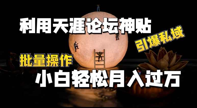 利用天涯论坛神贴，引爆私域，批量操作，小白轻松月入过w【项目拆解】,论坛,第1张