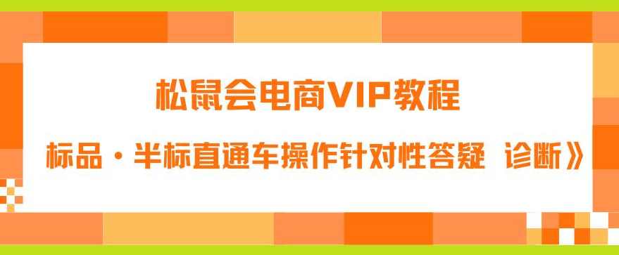 松鼠会电商VIP教程：松鼠《付费推广标品·半标直通车操作针对性答疑&amp;诊断》,电商,电子商务,第1张