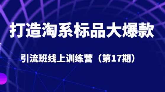 打造淘系标品大爆款引流班线上训练营（第17期）5天直播授课,课程,直播,第1张