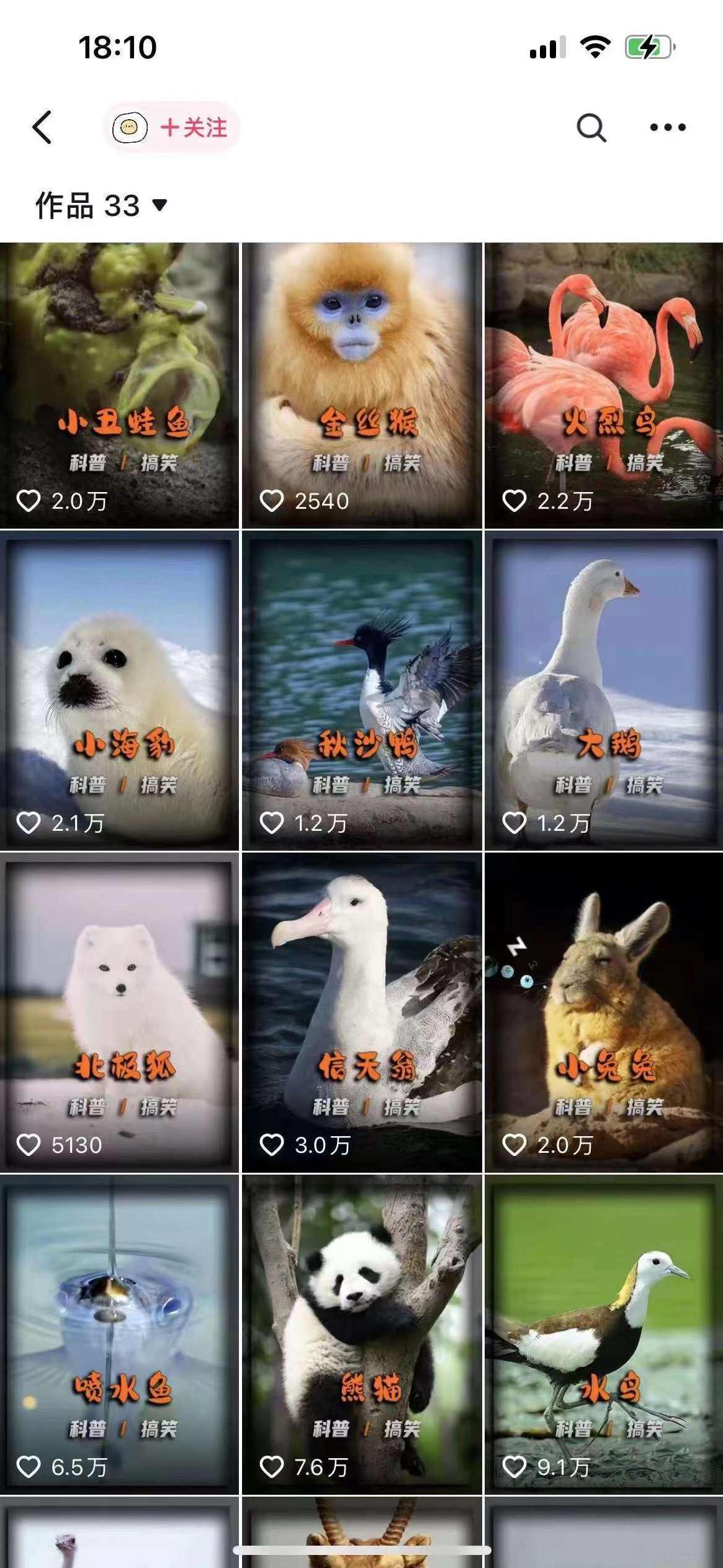 动物科普解说项目，撸创作者伙伴计划收益，保姆级实战教程【项目拆解】,课程,第2张