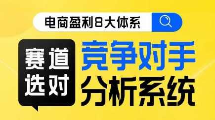 电商盈利8大体系·赛道选对，竞争对手分析系统线上课