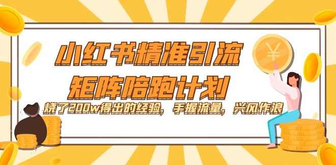 宅男 小红书精准引流矩阵陪跑计划,课程,学习,管理,理解,竞争,第1张
