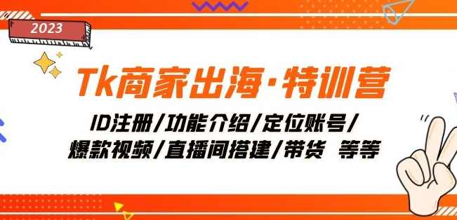 Tk商家出海·特训营：ID注册/功能介绍/定位账号/爆款视频/直播间搭建/带货,课程,学习,直播,定位,进步,第1张