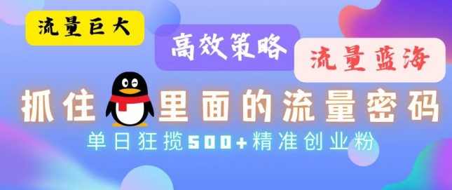 流量蓝海，抓住QQ里面的流量密码！高效策略，单日狂揽500+精准创业粉【项目拆解】