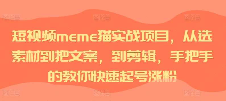短视频meme猫实战项目，从选素材到把文案，到剪辑，手把手的教你快速起号涨粉【项目拆解】,发展,专业,第1张