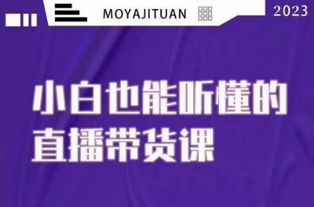 大威本威·能听懂的直播带货课，小白也能听懂，20节完整,课程,直播,理解,第1张